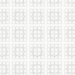 Detail Untitled (Fra Giocondo 1511), 2010